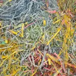 Paper Grass for Gift Packing & Hamper Filling – Multicolor 500gm